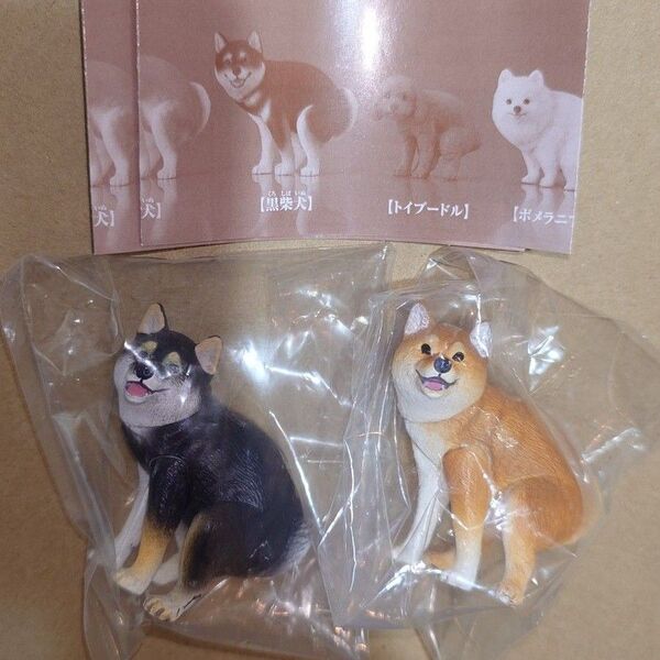 ふんばり〜ぬ 柴犬 黒柴犬 セット