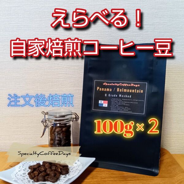 注文後焙煎100g x 2★選べる!自家焙煎スペシャルティコーヒー豆 2種セット