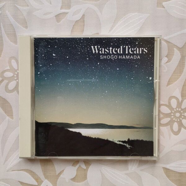浜田省吾 Wasted Tears CD