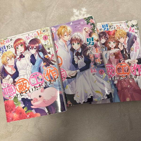 王妃様が男だと気づいた私が、全力で隠 1 (ZERO-SUM COMICS) 桂実 画