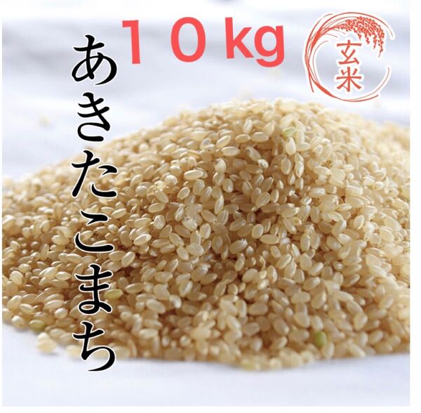あきたこまち 玄米 10キロ 2024年産
