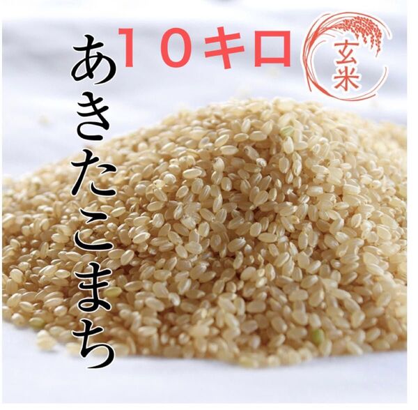 あきたこまち 玄米 10キロ 令和6年度産