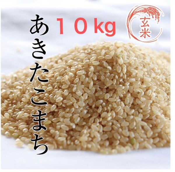 あきたこまち 玄米 10キロ 令和6年度産