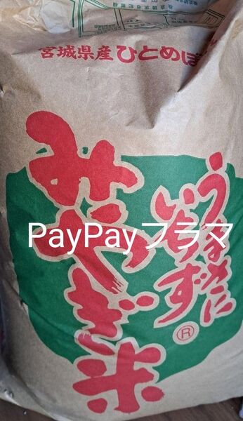 宮城県産 玄米 約10㎏ 精米してません みやぎ米 ひとめぼれ