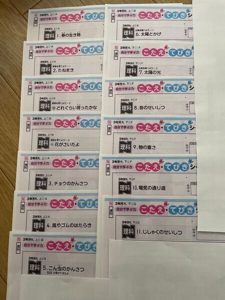 最新版 令和6年度 東京書籍 カラーテスト 理科 小学3年生