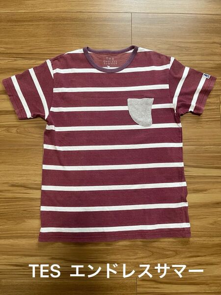 TES ボーダーTシャツ エンドレスサマー