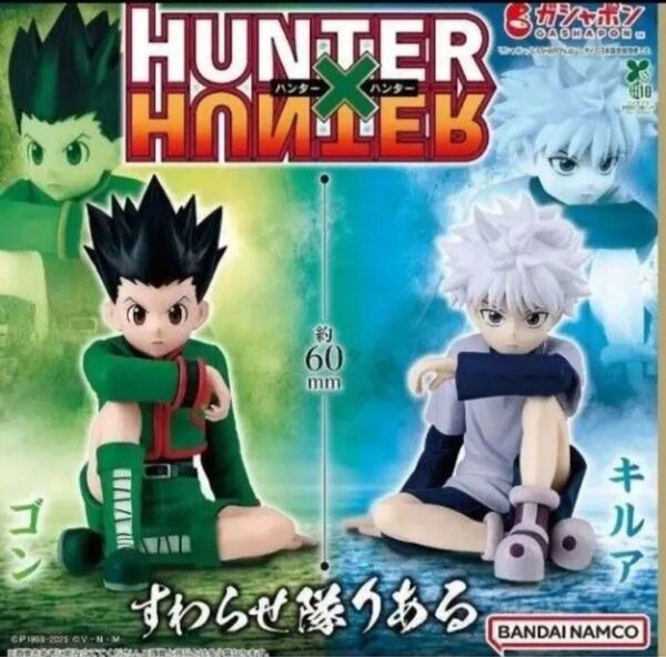 【新品未使用】HUNTER×HUNTERすわらせ隊りある ゴン キルア 全2種セット