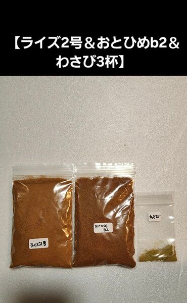 メダカ餌【ライズ2号&おとひめB2】各50g【わさび3杯】セット