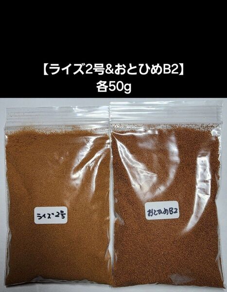 メダカ餌【ライズ2号&おとひめB2】各50gセット