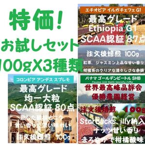 【セール特価20%OFF】 お試しセット 100g×3種