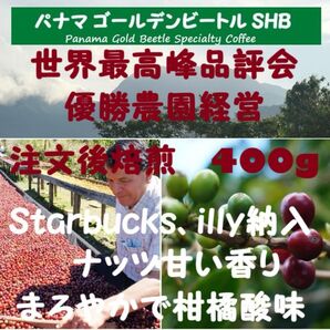【セール特価10%OFF】パナマ ゴールデンビートル SHB 400g