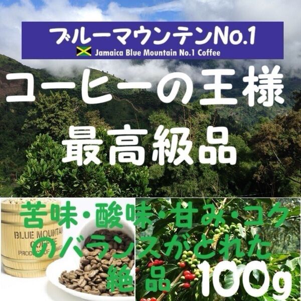 【セール特価15%OFF】ブルーマウンテンNo.1 100g