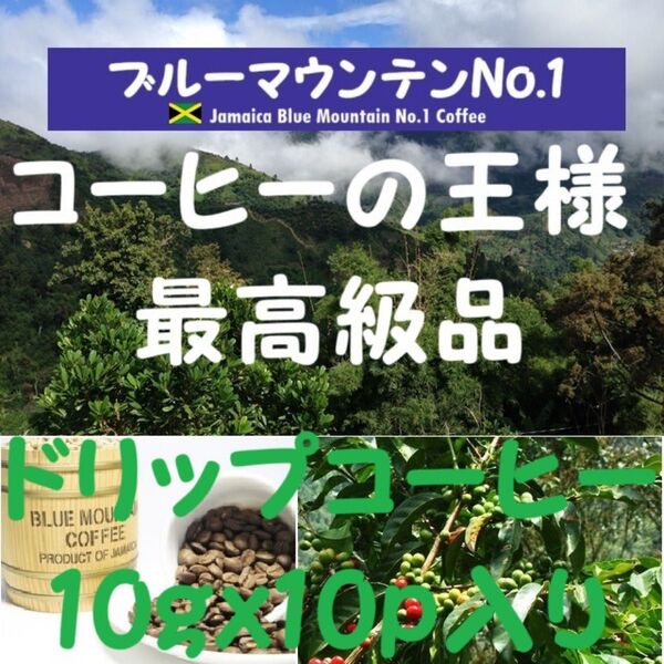 【特価15%OFF】ブルーマウンテンNo.1 ドリップコーヒー 100g(10gx10p入り)