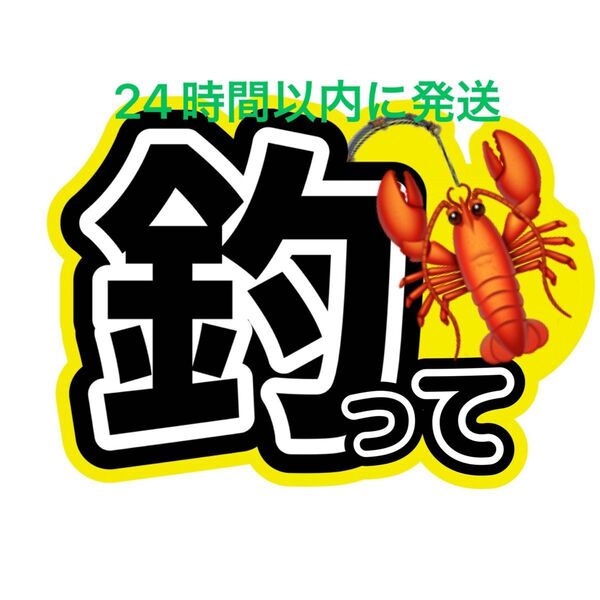 SnowMan 目黒蓮 釣って ファンサうちわ文字 ラウール向井康二佐久間大介岩本照深澤辰哉渡辺翔太阿部亮平宮舘涼太 目立つ