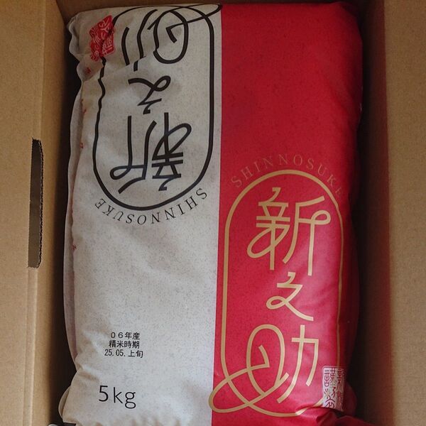 令和6年 新潟県産 新之助《5kg x 2コセット》合計 10kg