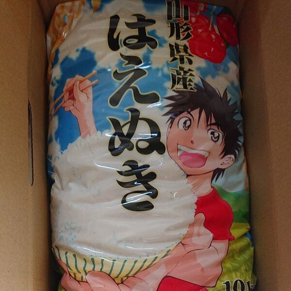 【山形県産】令和6年 はえぬき《 10kg 》