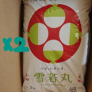 【山形県産】令和6年 雪若丸《5kg x 2コ》合計10kg