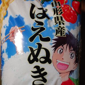 【山形県産】令和6年産 はえぬき《 10kg 》