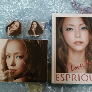 即発送 安室奈美恵 KOSE ESPRIQUE スケジュール帳マグネット2個セット メイクBOOK付きKOSE ESPRIQUE