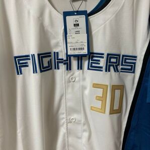 北海道日本ハムファイターズ 郡司裕也 ユニフォーム Lサイズ