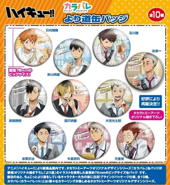 新品未開封 ハイキュー 缶バッジ カラパレ より道缶バッジ 1カートン 8BOX