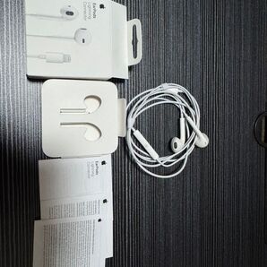 Apple EarPods アップル イヤーポッズ lightningコネクタ