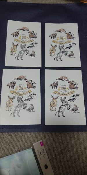 【非売品】夢見ヶ崎動物公園 50周年記念 はがき ポストカード 4枚