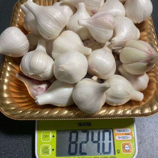香川県産新生にんにく 小さいサイズ800g