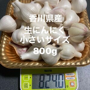香川県産新生にんにく 小さいサイズ800g