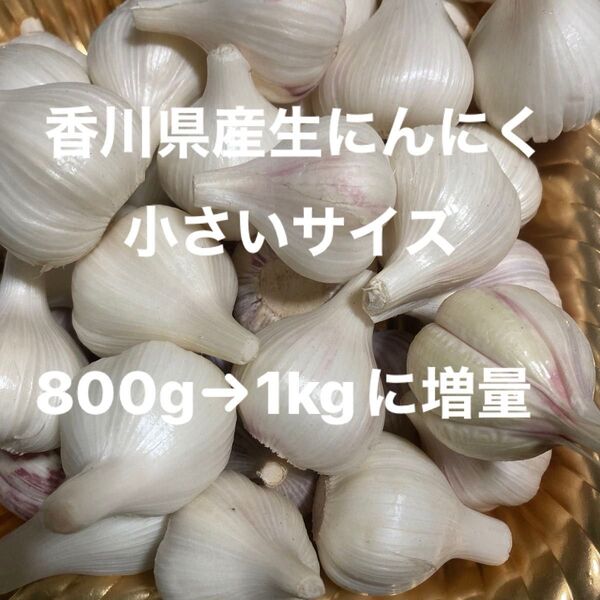 香川県産新生にんにく 小さいサイズ1kgに増量
