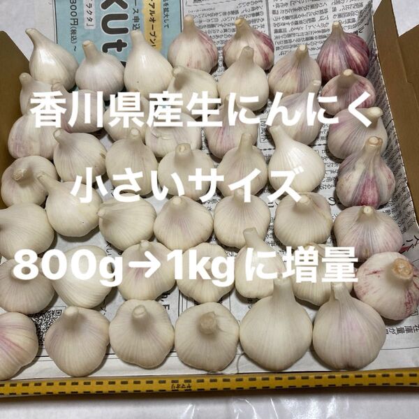 香川県産新生にんにく 小さいサイズ800g