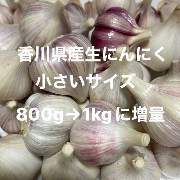 香川県産生にんにく 小さいサイズ800g→1kgに増量