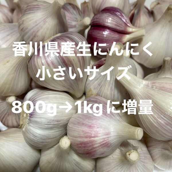 香川県産生にんにく 小さいサイズ800g→1kgに増量