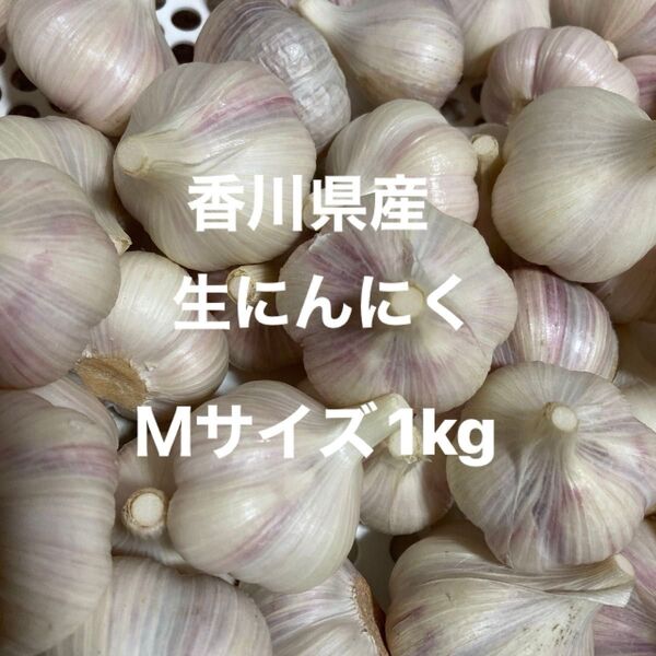 香川県産生にんにく Mサイズ1kg