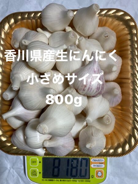 香川県産新生にんにく 小さいサイズ800g