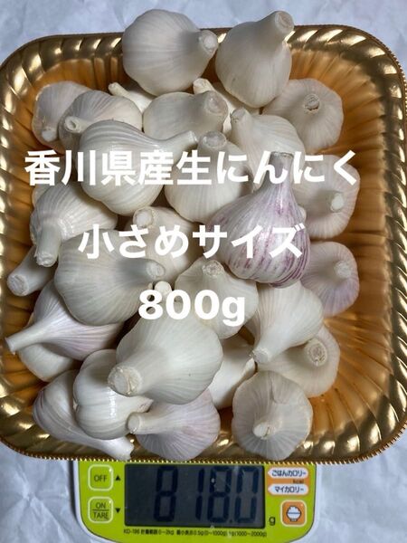 香川県産新生にんにく 小さいサイズ800g