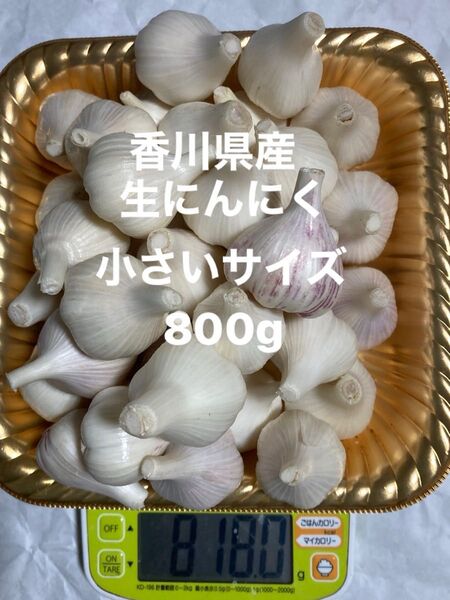 香川県産新生にんにく 小さいサイズ800g