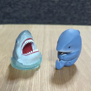 サメ 2匹