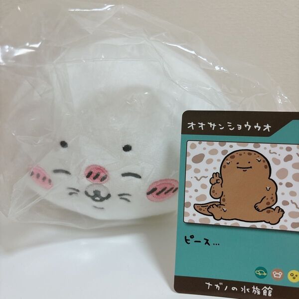 アザラシぬいぐるみくじ アザラシくじ C賞 ぬいぐるみ小 ノベルティカード付き