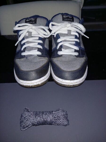 NIKE DUNK LOW PRO SB クレータ ゴミダンク