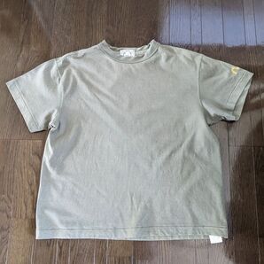 送料込 EVISU エヴィス Tシャツ 袖カモメ刺繍