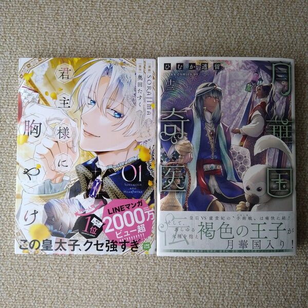 君主様に胸やけ 1巻 月華国奇医伝 13巻