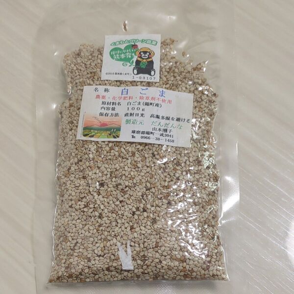 【貴重な国産☆無農薬】白ごま 100g 熊本県錦町産 農薬・化学肥料・除草剤不使用