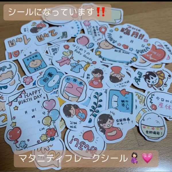 マタニティフレークシール A5サイズ ぷにぷに柄 母子手帳 エコーアルバム