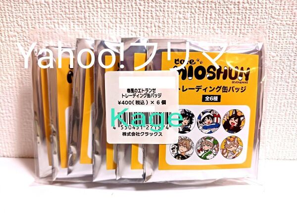 春風のエトランゼ 海辺のエトランゼ MIOSHUN Cafe 缶バッジ 6個セット ソフマップ 実央 駿