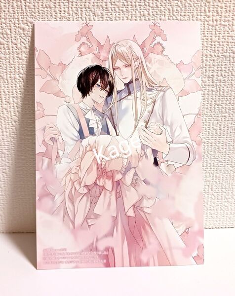 小説Chara キャラvol.50 【コミコミ特典 イラストカード 無能な皇子呼ばれてますが中身は敵国の宰相です 番外編】