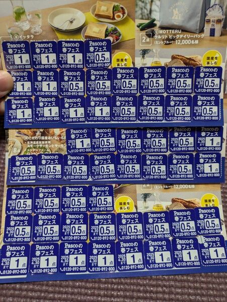 応募用 パスコ 春フェス シール 37点分/ キャンペーン 応募券 Pascoの春フェス 応募シール