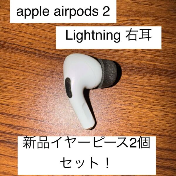 Apple AirPods Pro 2 Lightning 右耳 R 新品イヤーピース Mサイズ 2個セット!