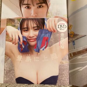 週刊 プレイボーイ 週刊プレイボーイ 週刊プレイボーイ19-20号 豊島心桜 最新号 付録dvd ※雑誌本体はつきません