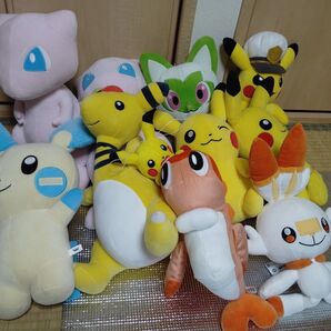 ポケモン ぬいぐるみ 11体
